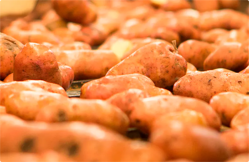 Porque Batata 01